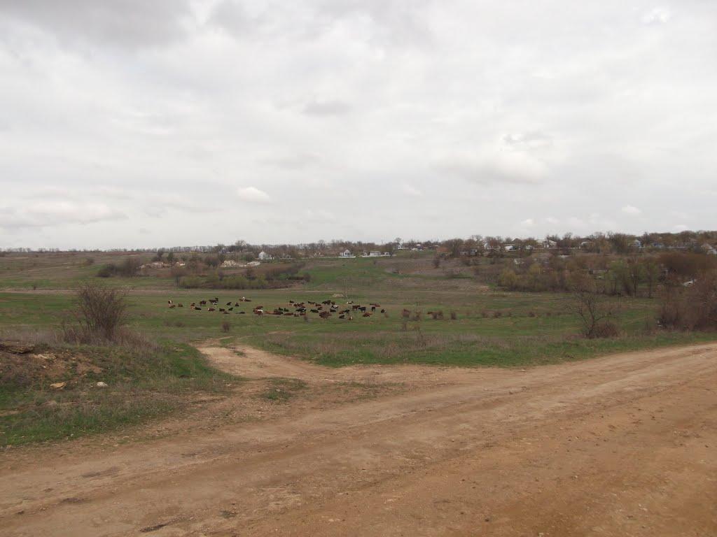 Основа з panoramio.com - Основа