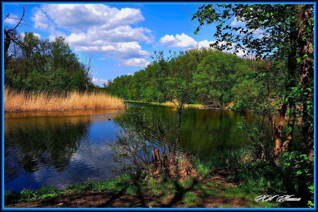 Дронівка з panoramio.com - Дроновка