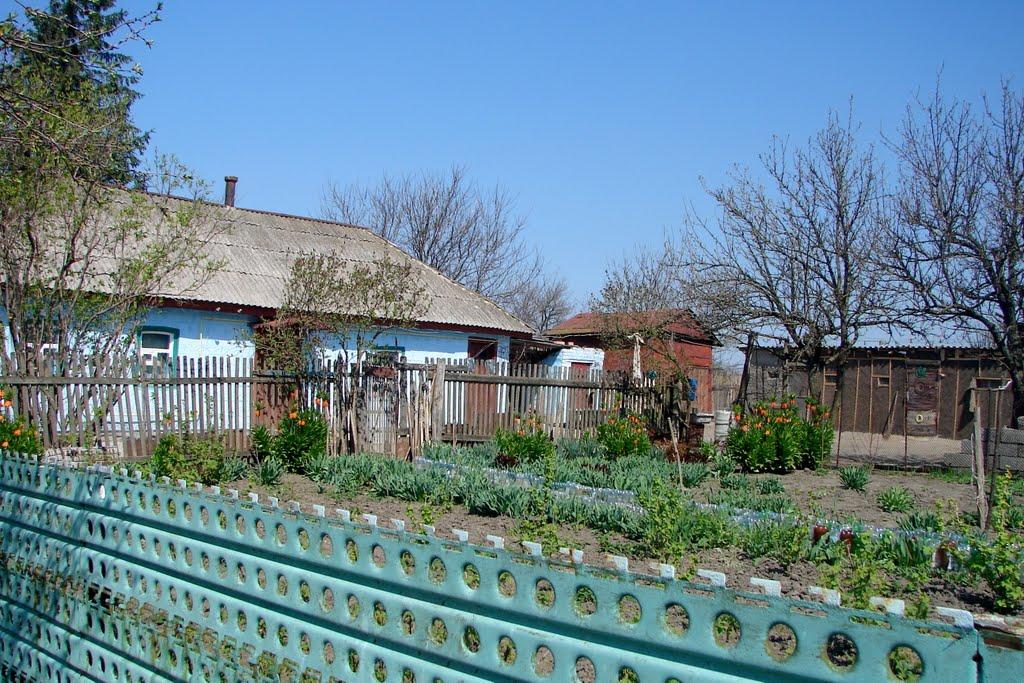 Аджамка з panoramio.com - Аджамка