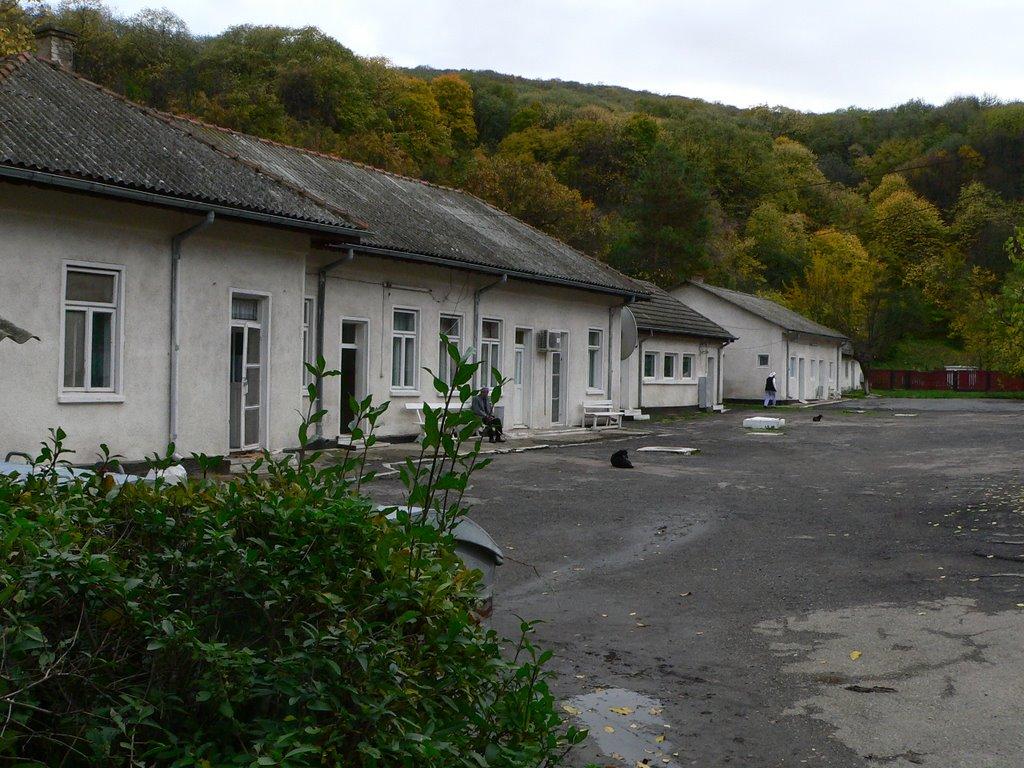 Орлівка з panoramio.com - Orlivka