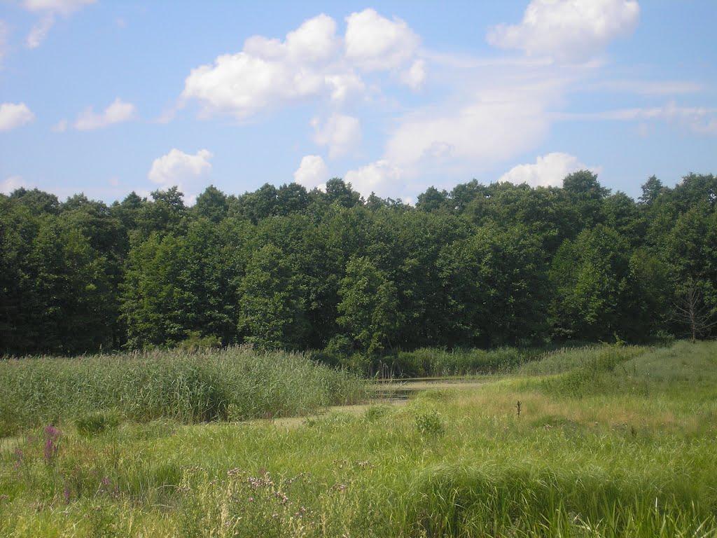 Сваркове з panoramio.com - Сваркове
