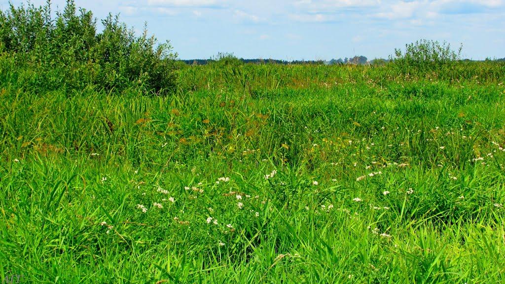 Кузнецовськ з panoramio.com - Varash