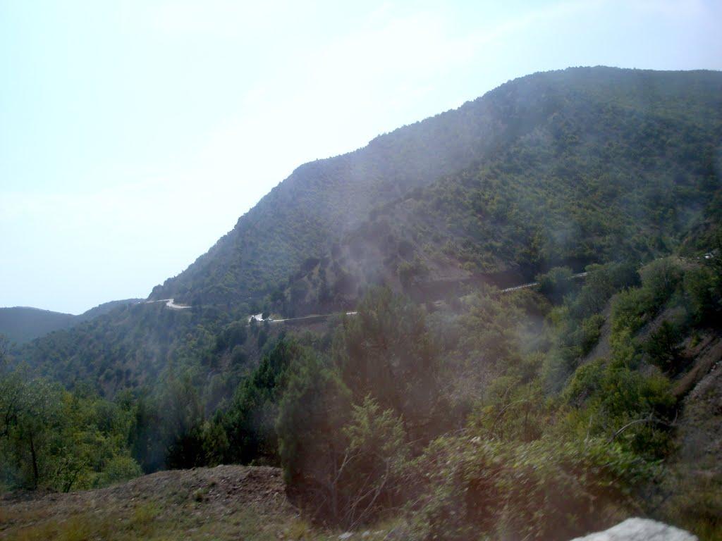 Долина з panoramio.com - Долина