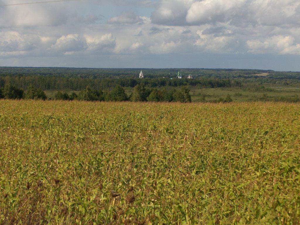 Дідівці з panoramio.com - Didivtsi