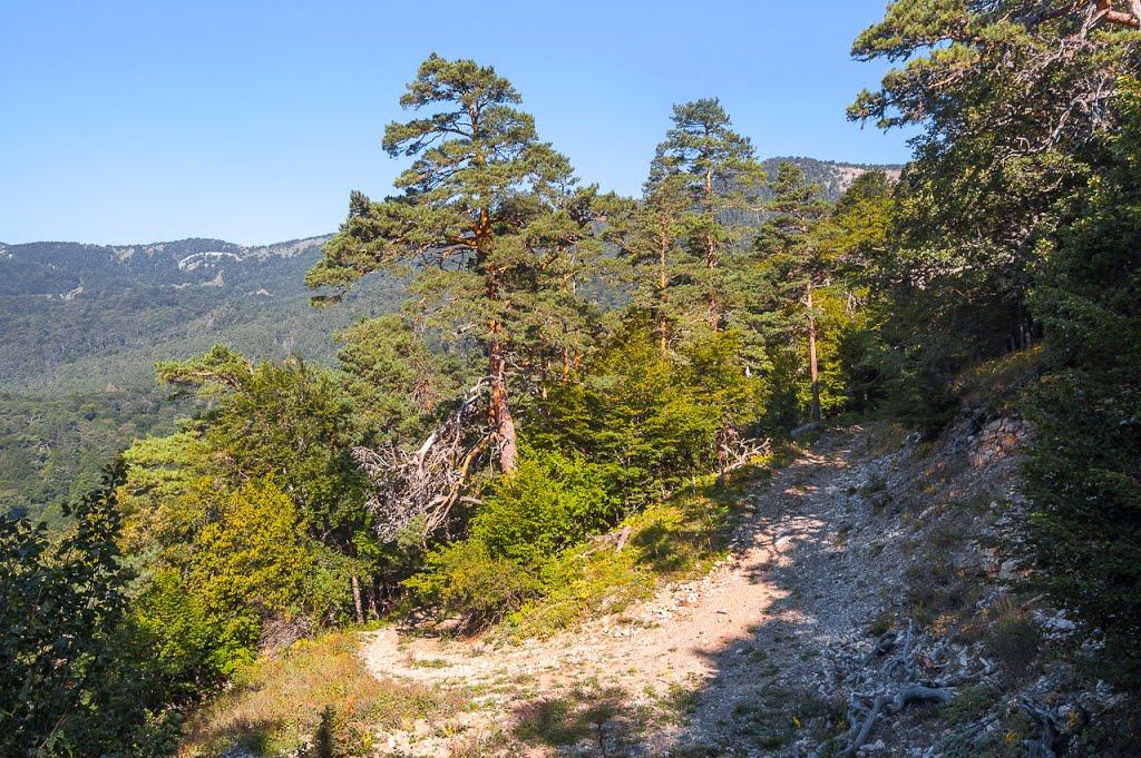 Запрудне з panoramio.com - Запрудне
