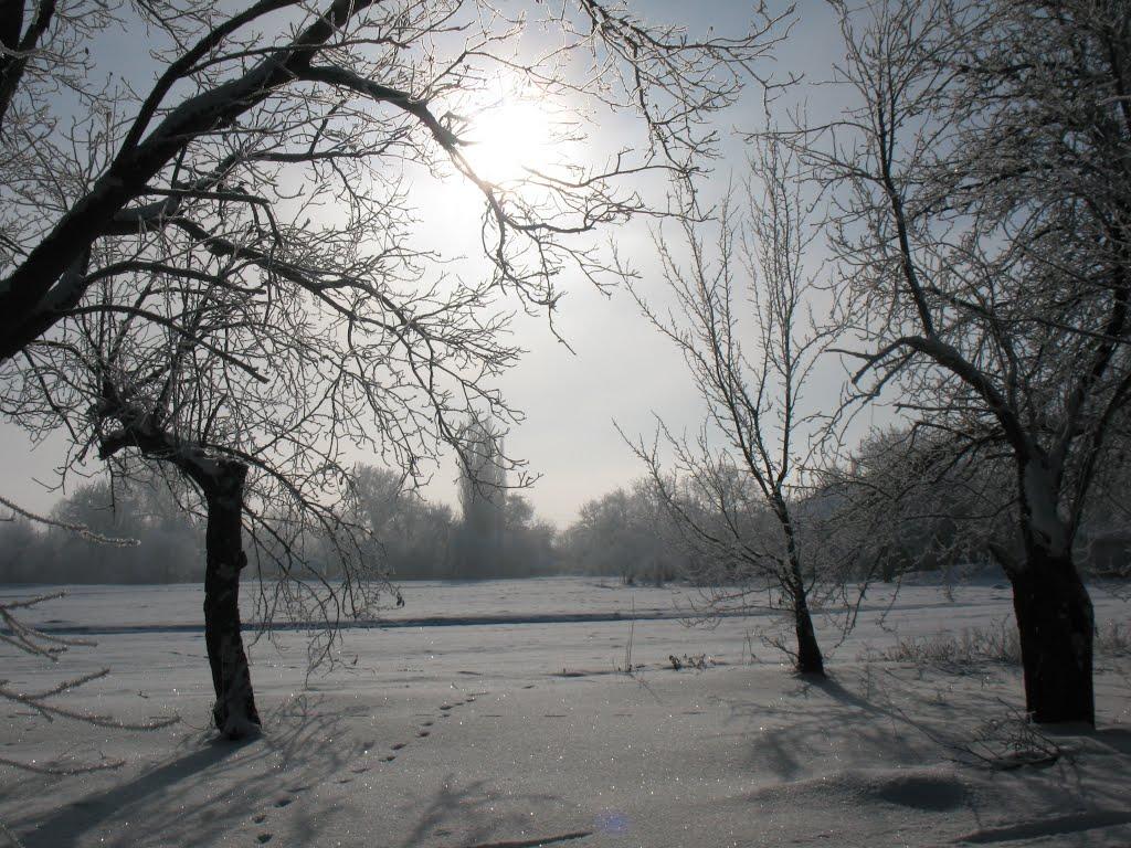 Пашківка з panoramio.com - Пашківка