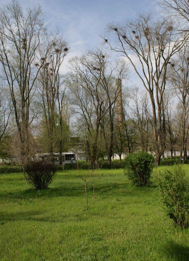 Менжинське з panoramio.com - Менжинське