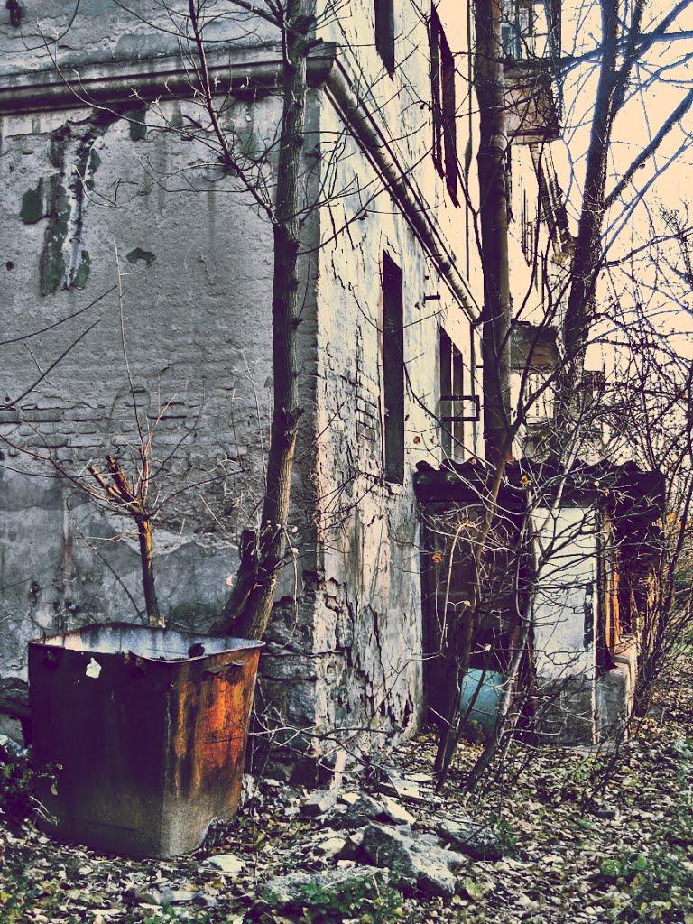 Вільне з panoramio.com - Вольное