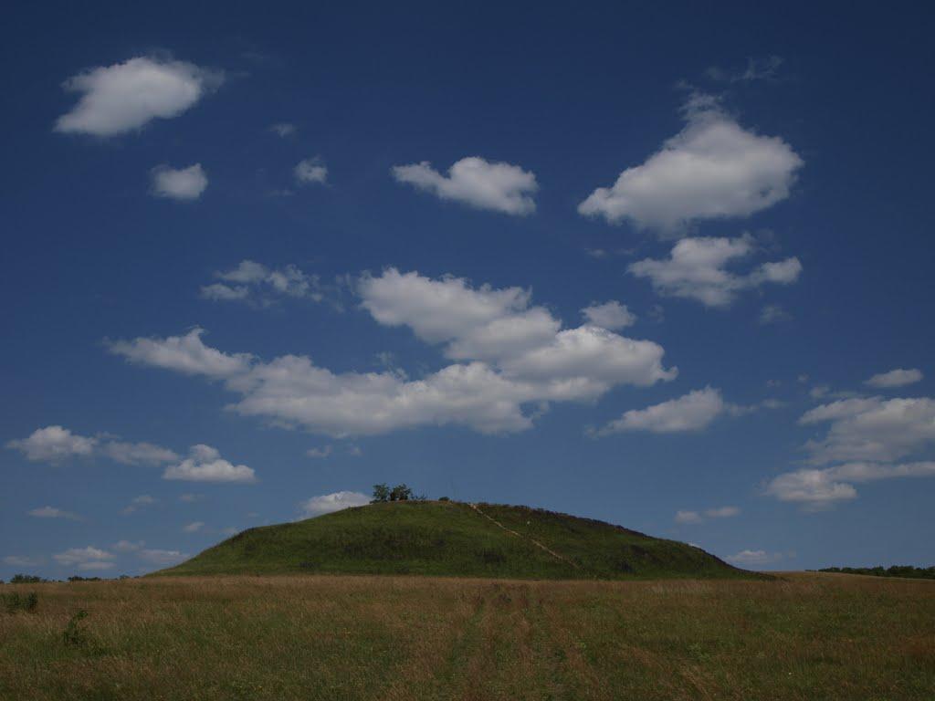 Медвин з panoramio.com - Медвин
