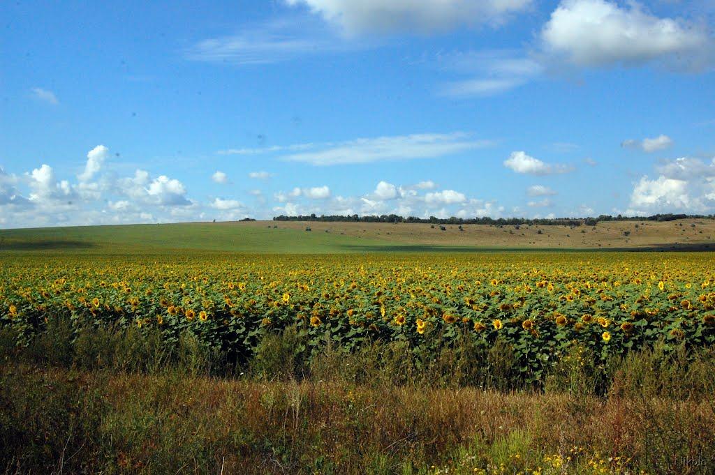 Серебрянка з panoramio.com - Серебрянка