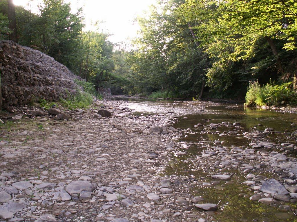 Поляна з panoramio.com - Поляна