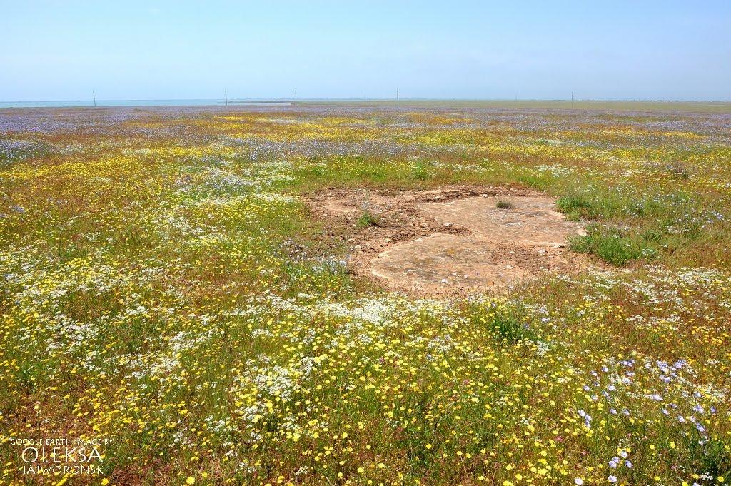 Штормове з panoramio.com - Штормове