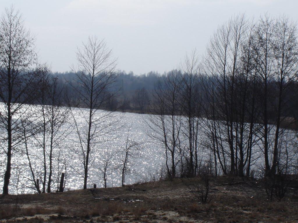 Тетерівка з panoramio.com - Тетеревка