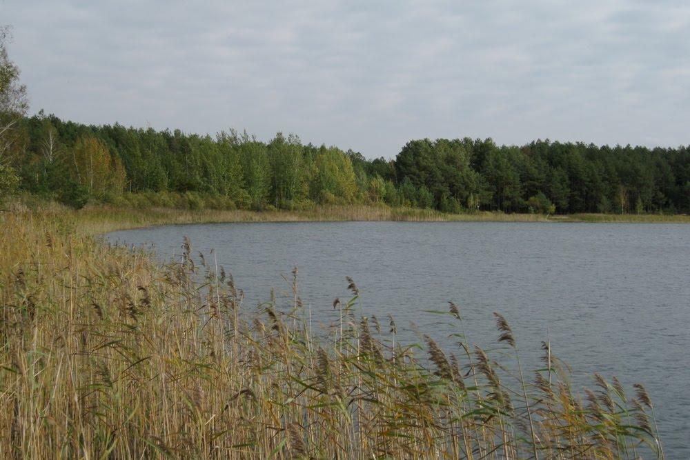 Млин з panoramio.com - Млын