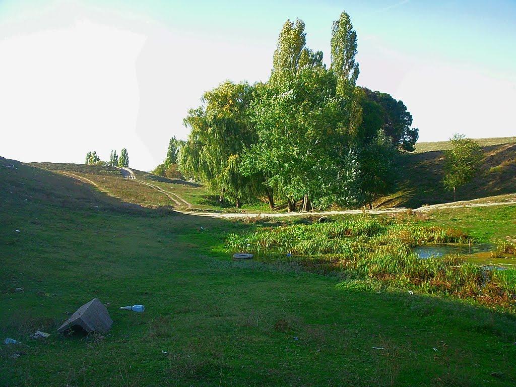 Трудове з panoramio.com - Trudove