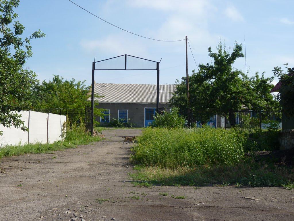 Краснодон з panoramio.com - Краснодон