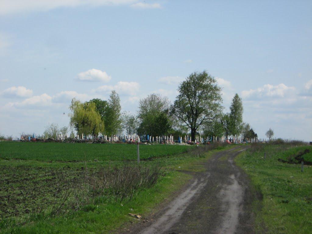 Димитрове з panoramio.com - Котлино