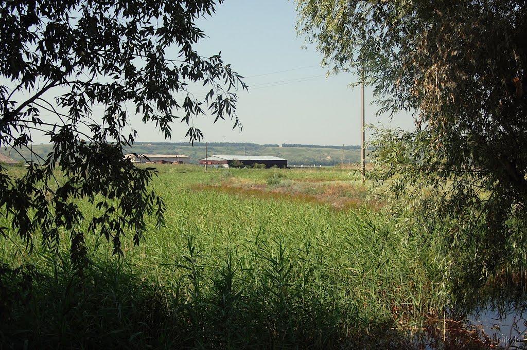 Нова Астрахань з panoramio.com - Новая Астрахань