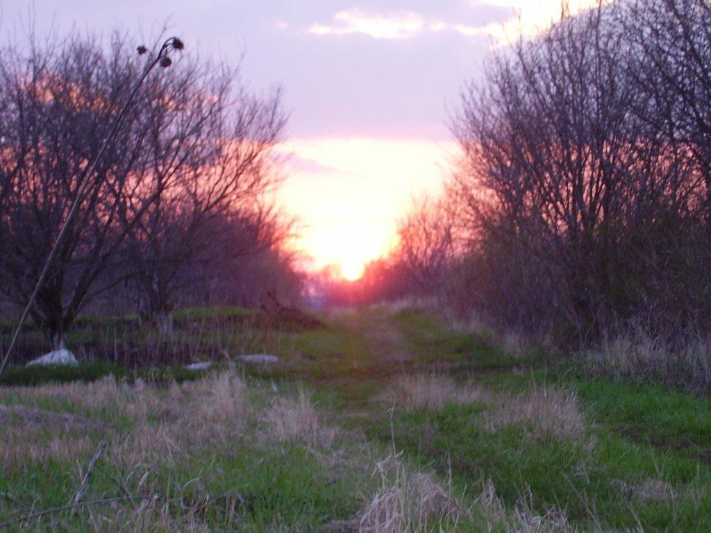 Гребінки з panoramio.com - Гребенки