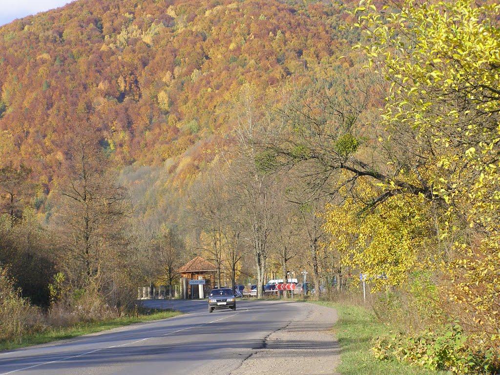 Свалява з panoramio.com - Свалява