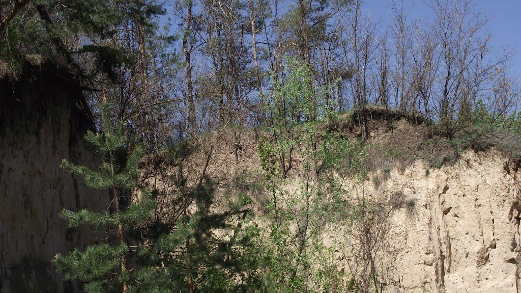 Стайки з panoramio.com - Стайки