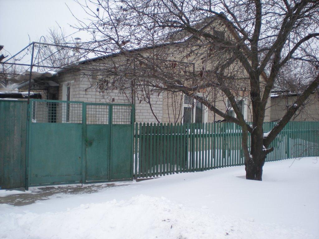 Дятилівка з panoramio.com - Дятилівка