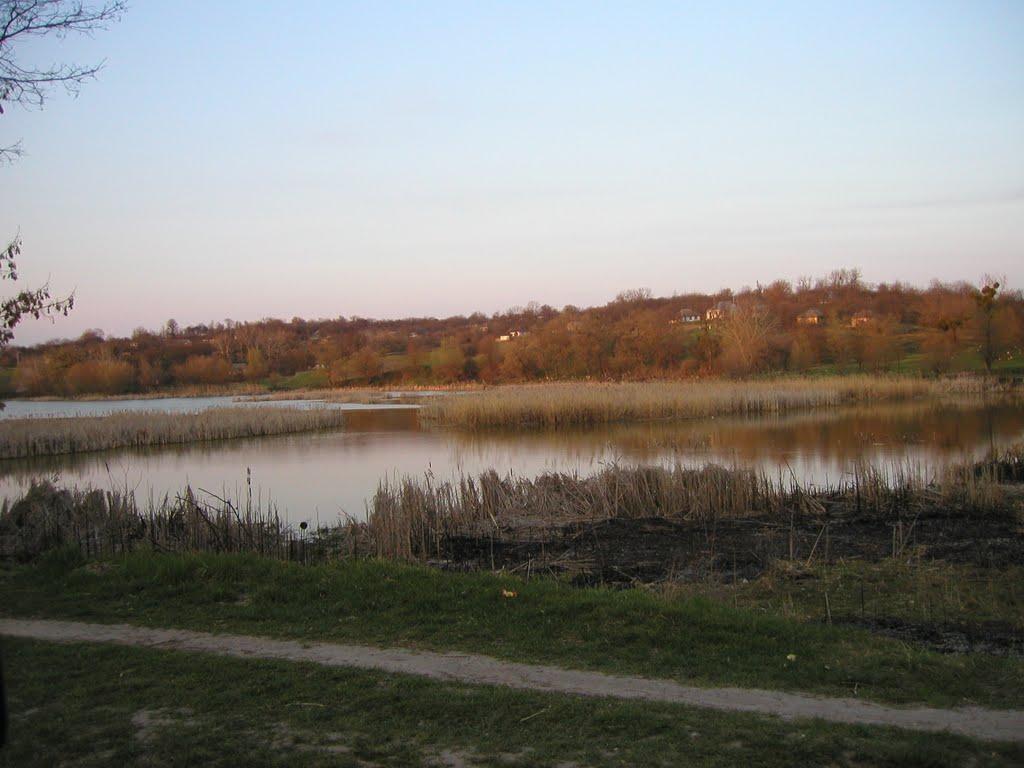 Медвин з panoramio.com - Медвин