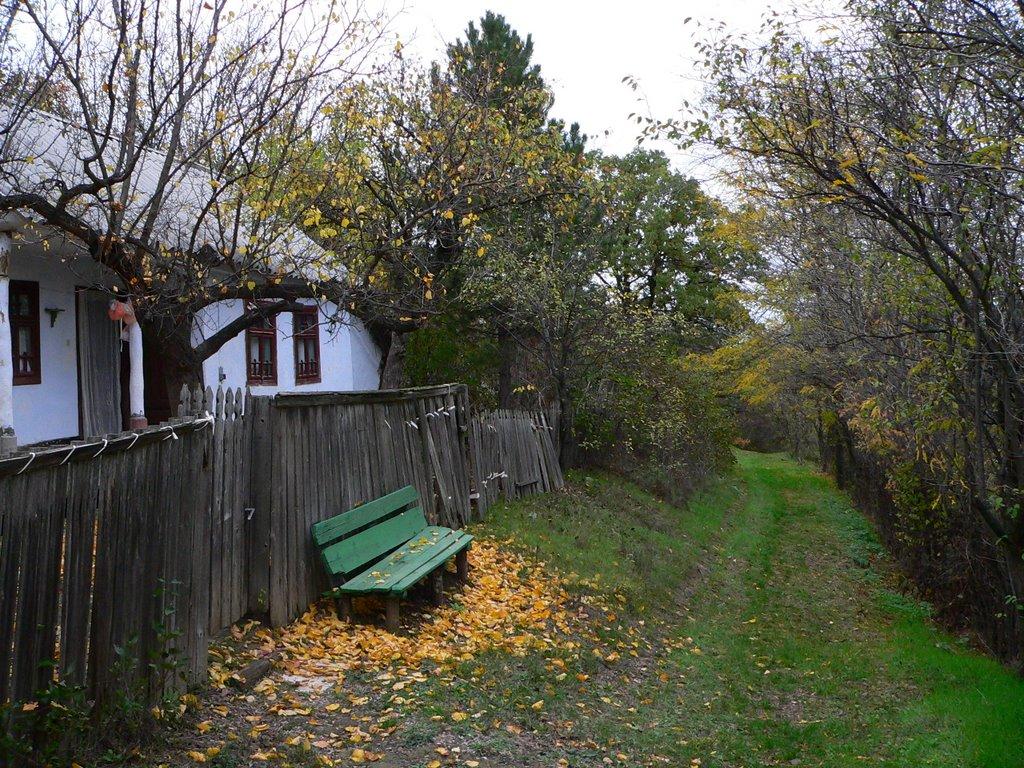 Орлівка з panoramio.com - Orlivka