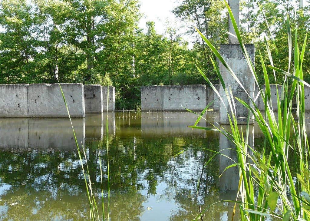 Вітове з panoramio.com - Вітове