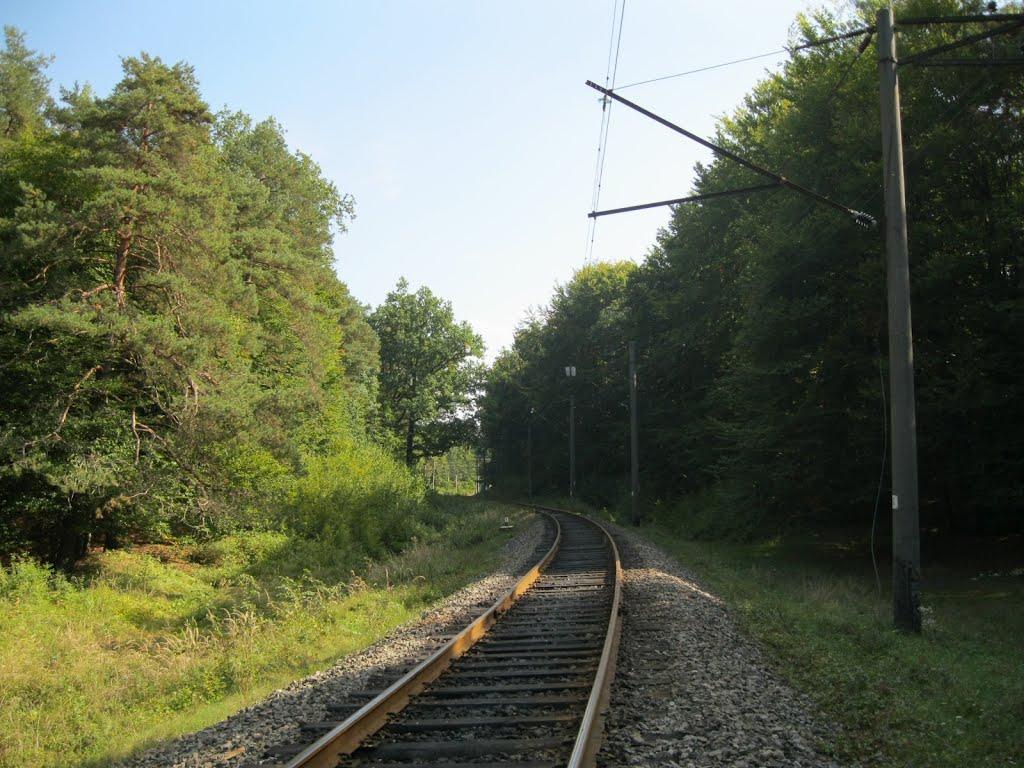 Брюховичі з panoramio.com - Брюховичи