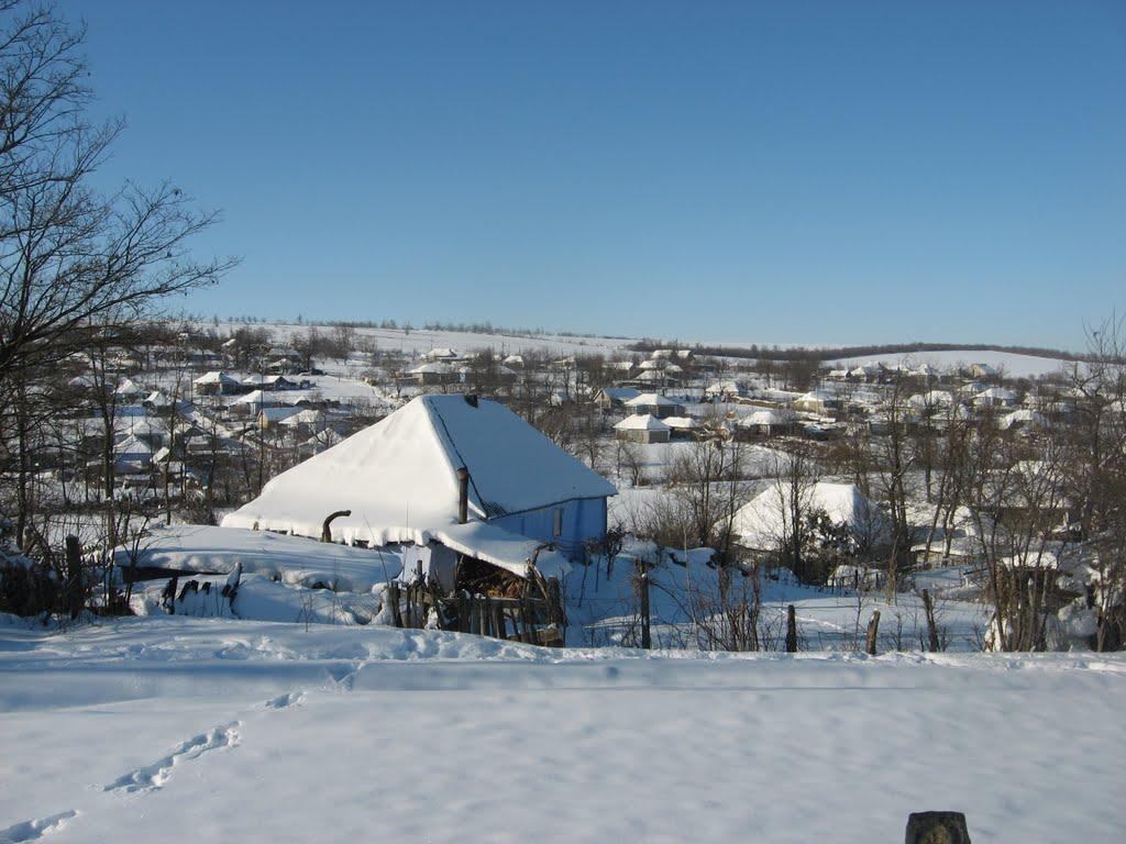 Домниця з panoramio.com - Домница