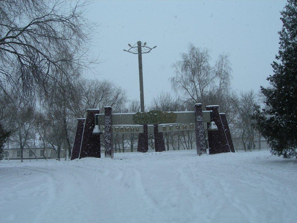 Царичанка з panoramio.com - Царичанка