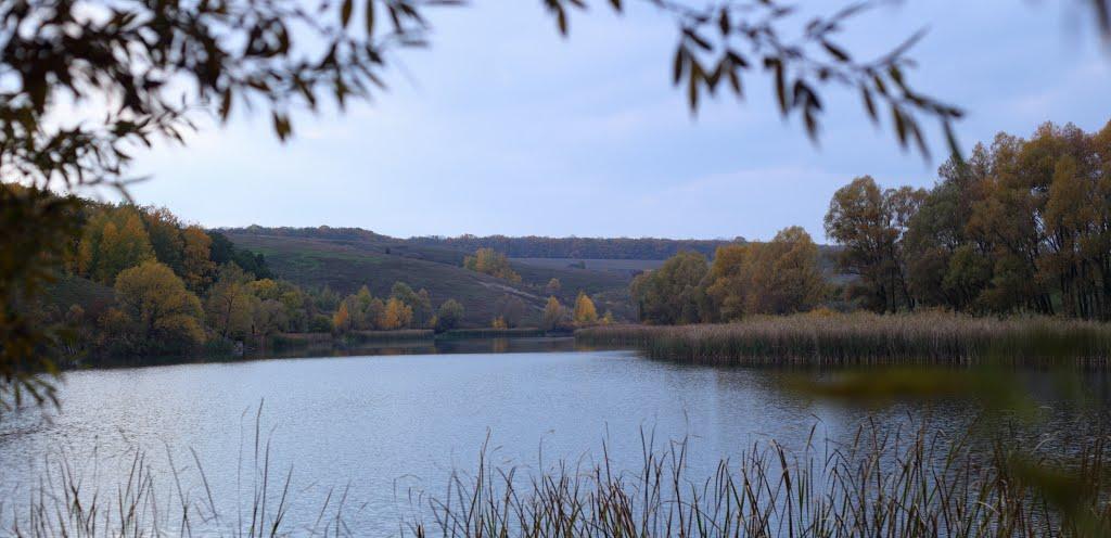 Протопопівка з panoramio.com - Протопопівка