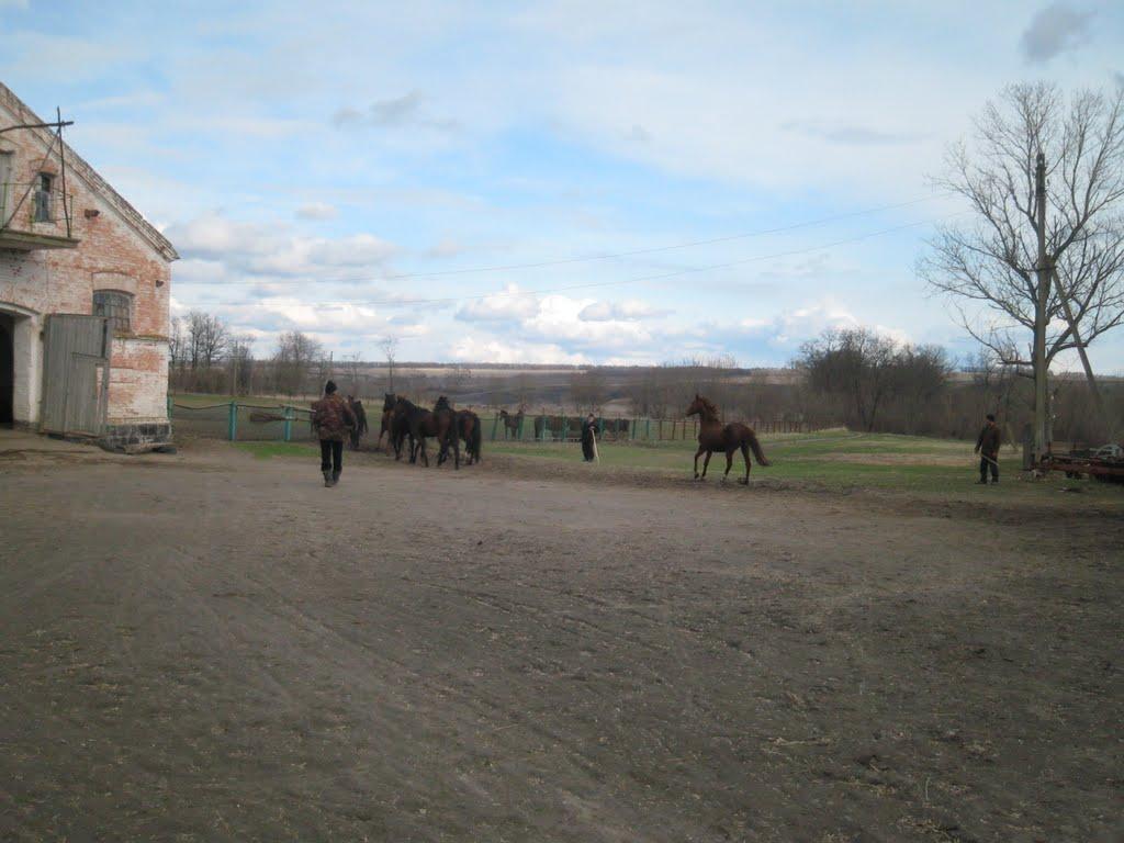 Камбурліївка з panoramio.com - Камбурліївка