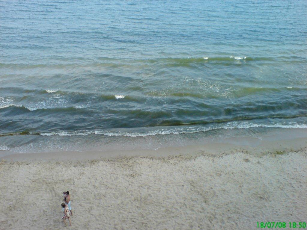 Лебедівка з panoramio.com - Лебедевка