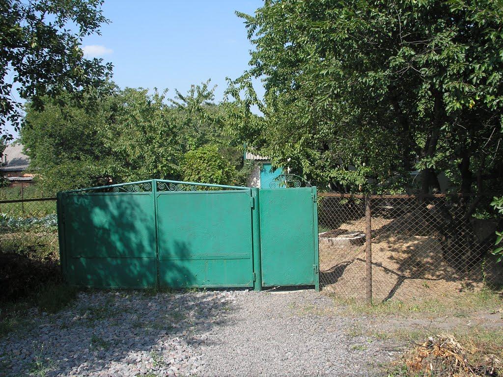 Супрунівка з panoramio.com - Супрунівка