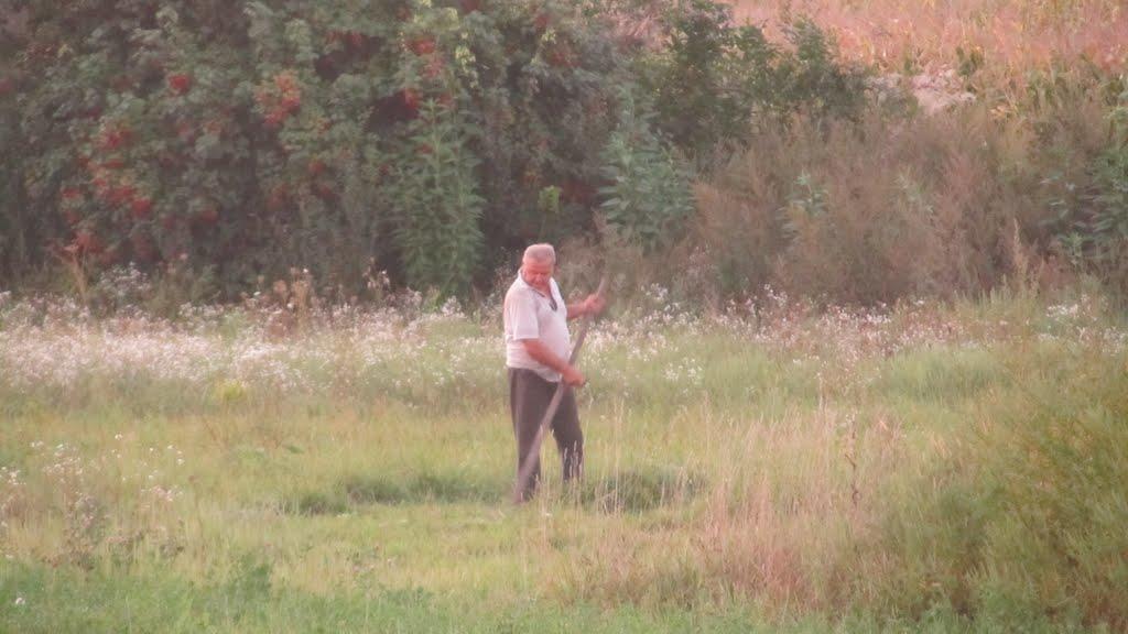 Павлиш з panoramio.com - Павлиш