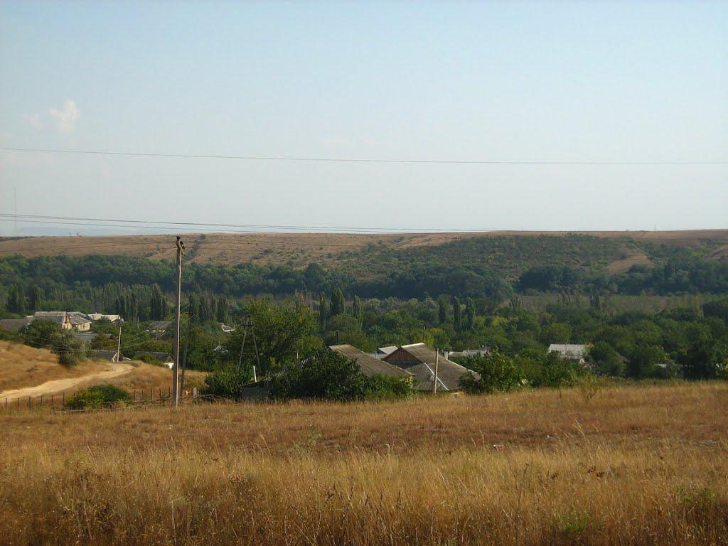 Лікарственне з panoramio.com - Likarstvenne