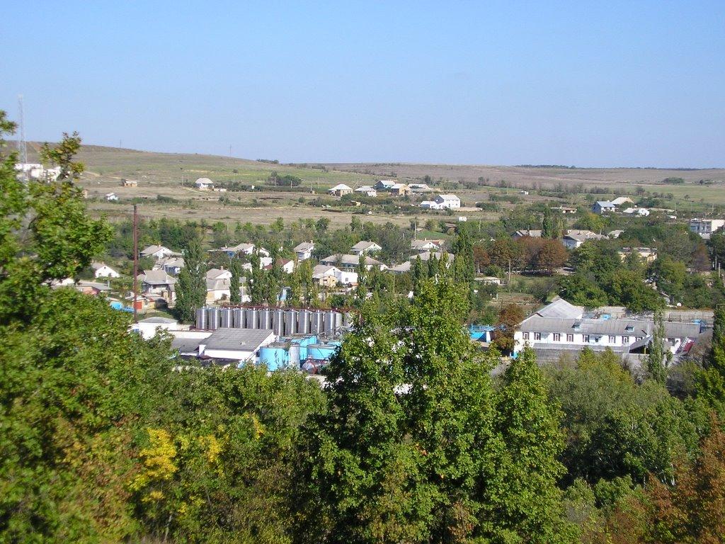 Каштани з panoramio.com - Каштани