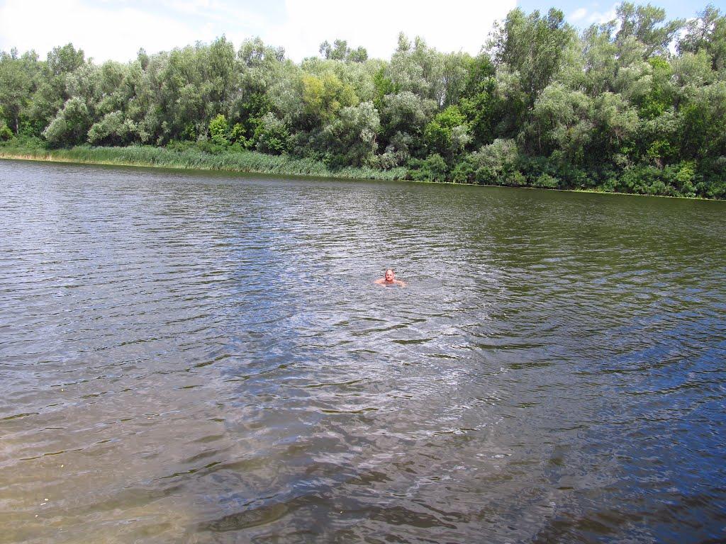 Кияшки з panoramio.com - Кияшки