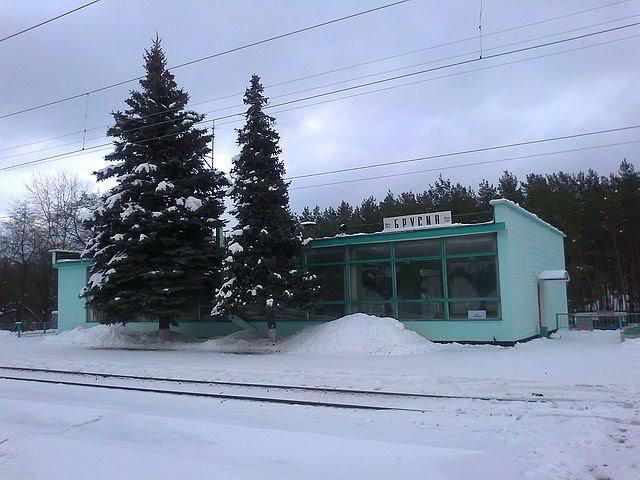 Старий Караван з panoramio.com - Старий Караван