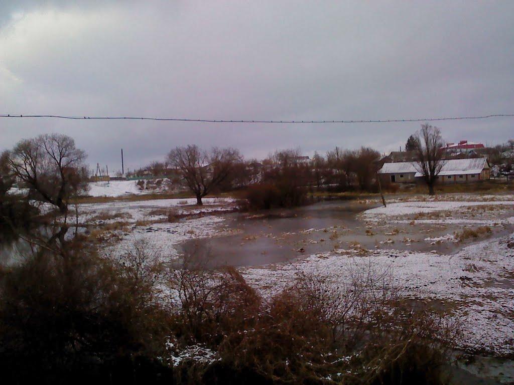 Голосків з panoramio.com