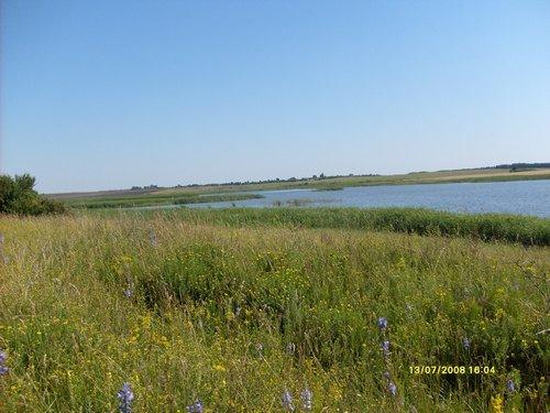 П'ятка з panoramio.com - Пятка