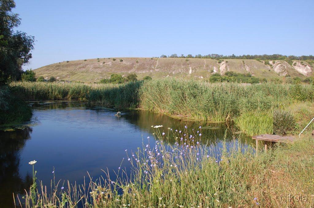 Співаківка з panoramio.com - Спеваковка