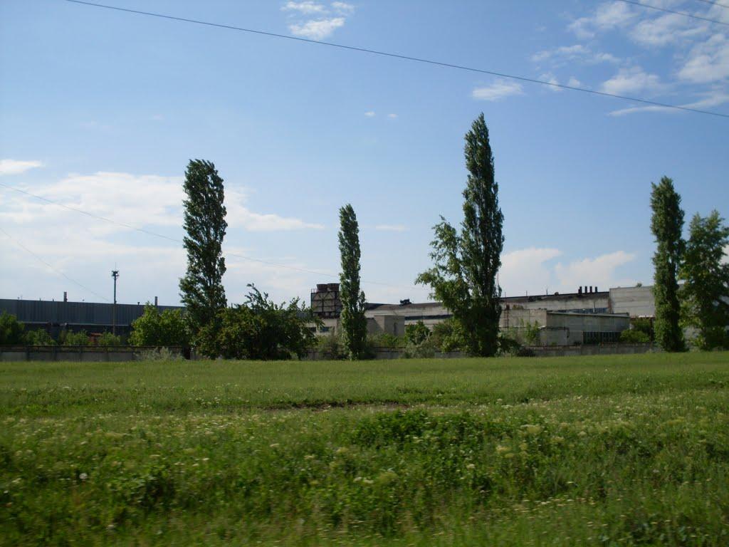 Слов'яносербка з panoramio.com - Слов'яносербка