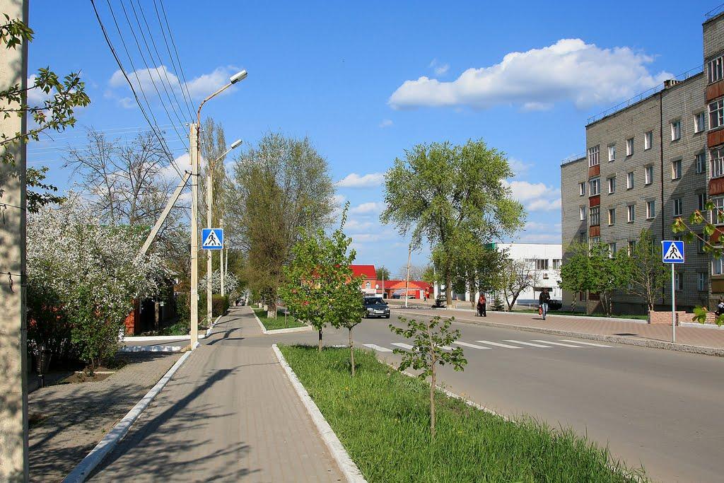 Попівка з panoramio.com - Поповка