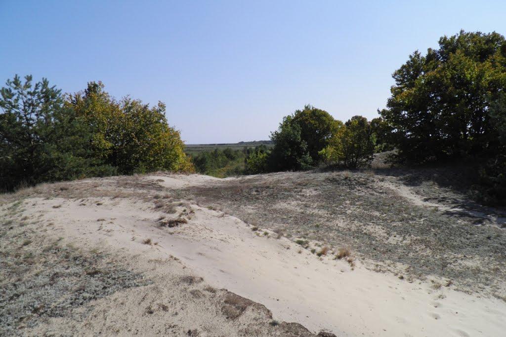 Млин з panoramio.com - Mlyn
