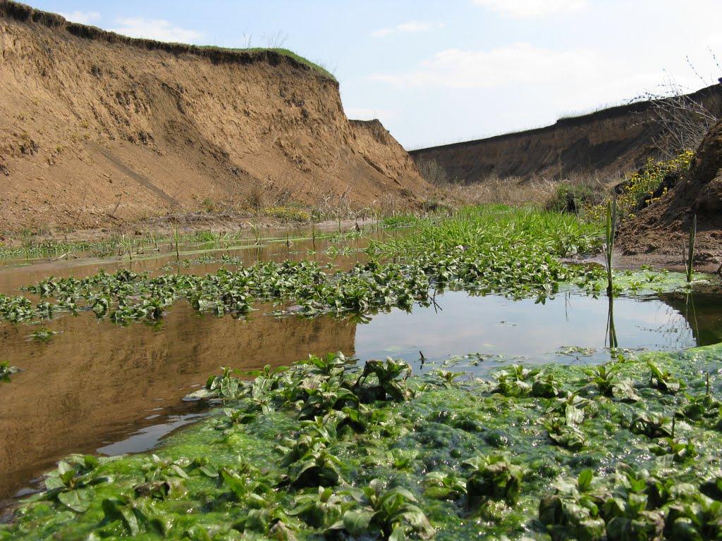 Мала Рогань з panoramio.com - Мала Рогань