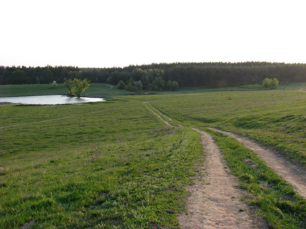 Ладижинські Хутори з panoramio.com - Ладижинські Хутори