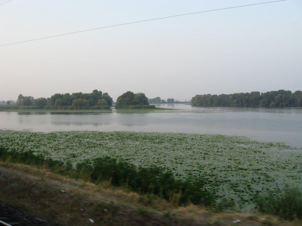 Кушугум з panoramio.com - Кушугум